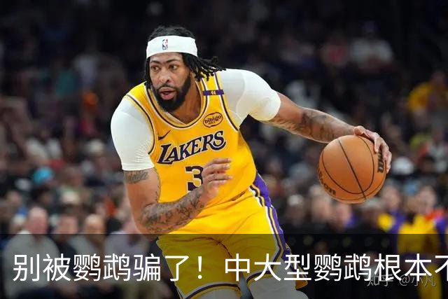 别被鹦鹉骗了！中大型鹦鹉根本不是宠物，是会飞的野生猛禽！
